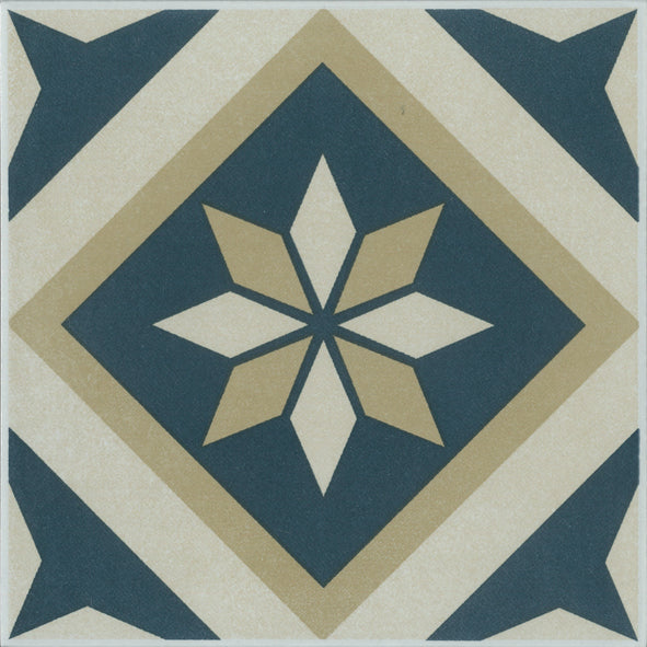 Cotto Oasis Floors 20X20