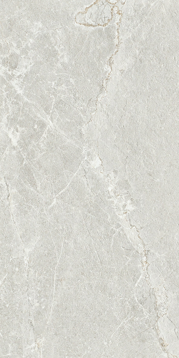Ardesia Silver Honed 60X60
