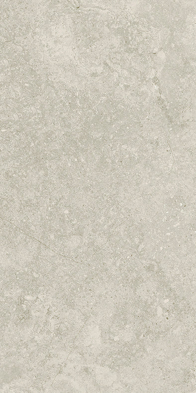 Avalon Greige P4 Matt 60X60