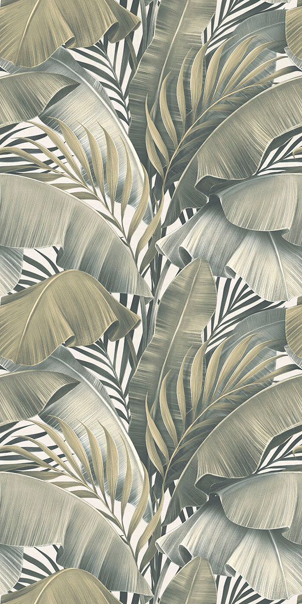 Ncia Palm Cove Decors 30X60