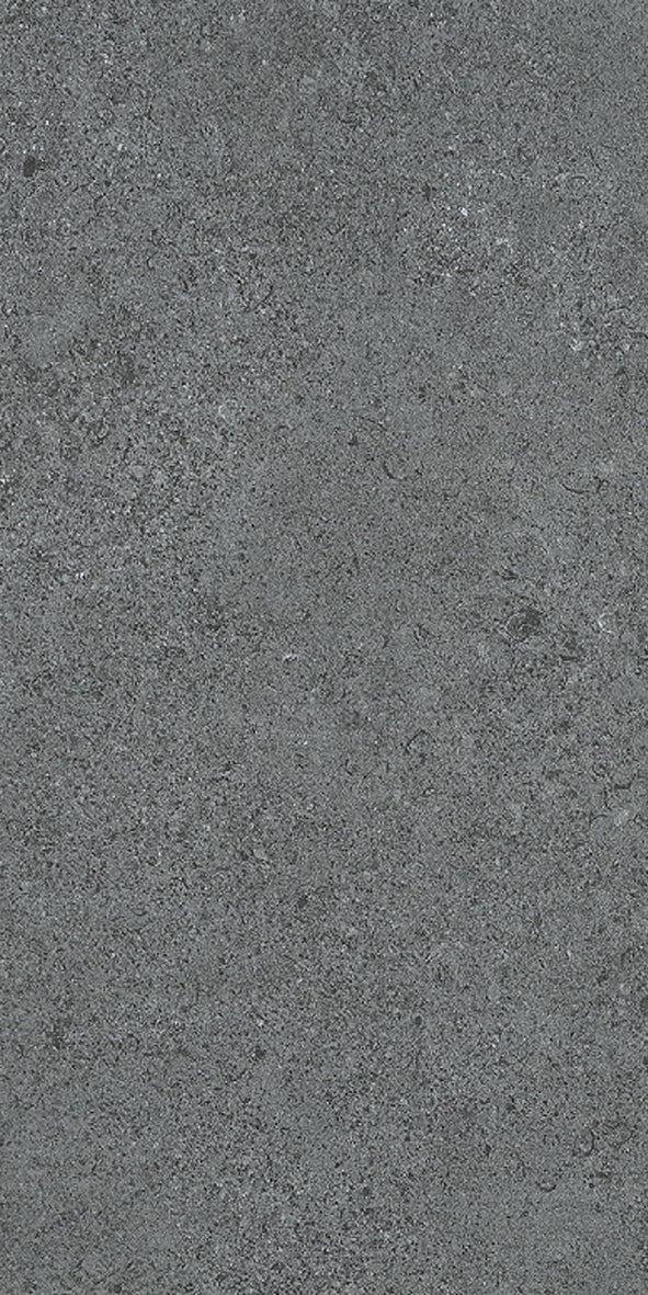 Reefstone Grey External P5 60X60