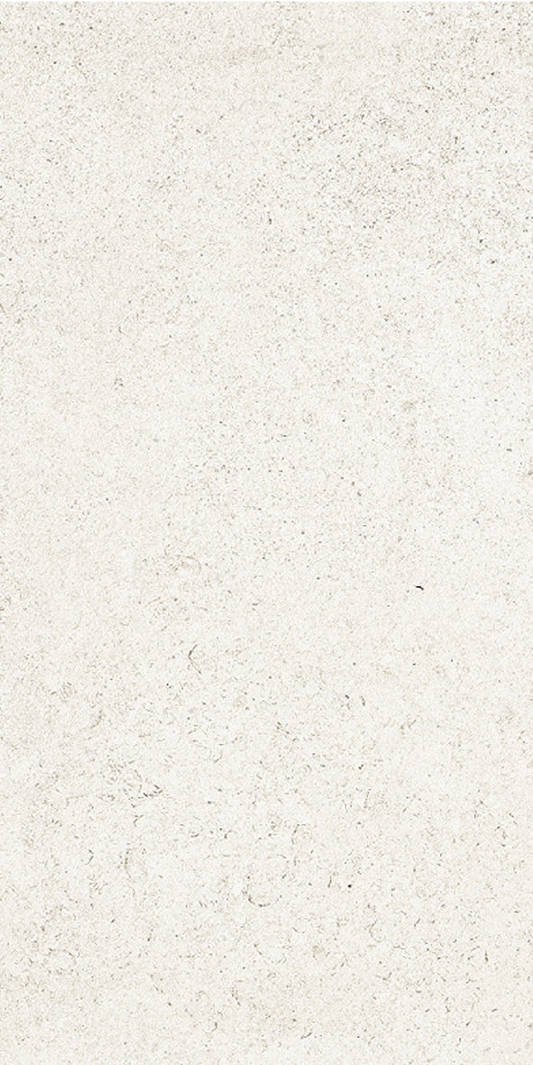 Reefstone White Matt 60X60