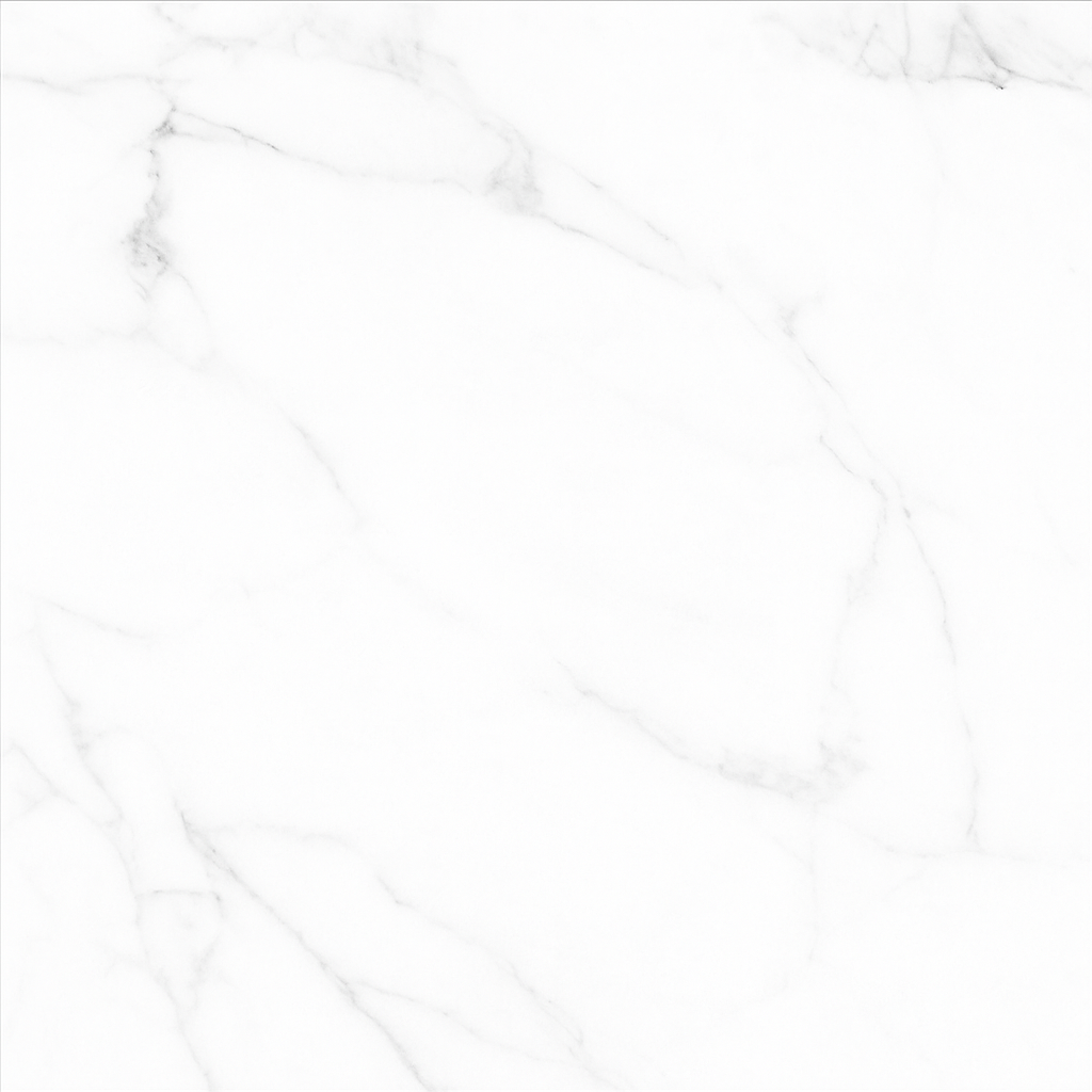 Carrara White Matt 60x60