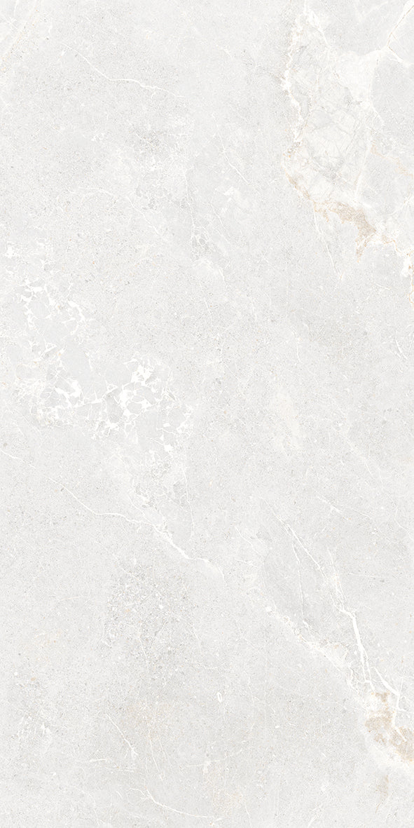 Tiaron Ardesia Silver Honed 60X120