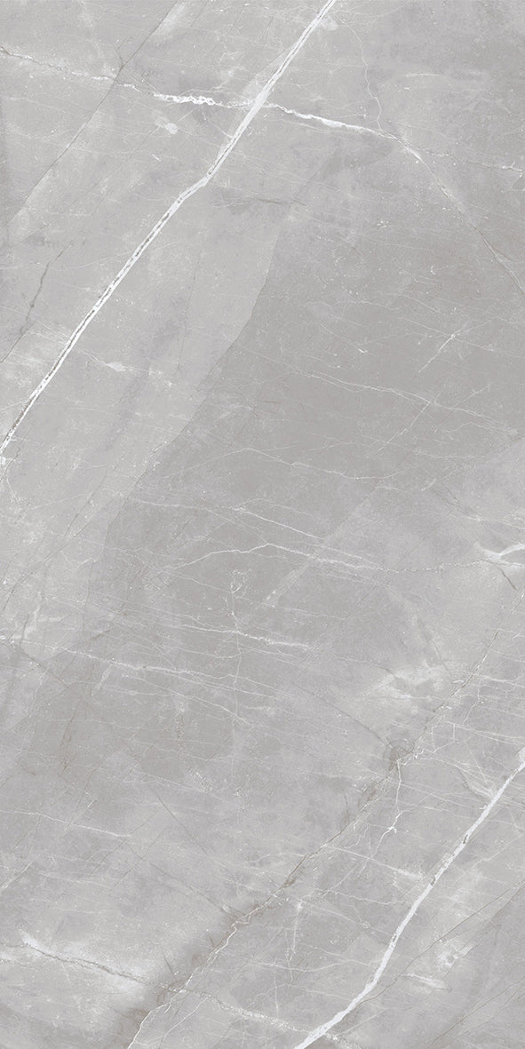 Armani Grey Polished 60X120