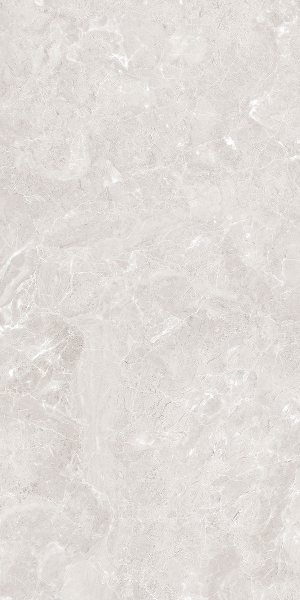 Armani Gris Polished 60X120