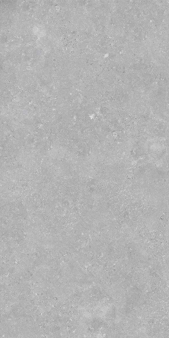Ballina Grey Matt P3 60X120