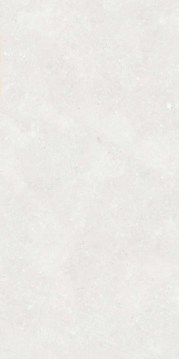 Ballina Silver Matt P3 60X120