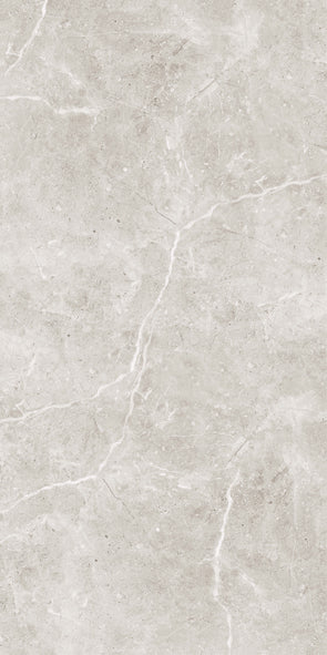 Ocean Taupe Matt 60X120
