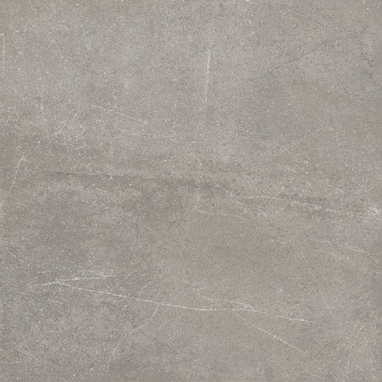 Astra Grey External P4 60X60