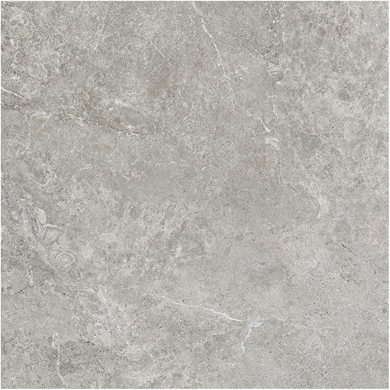 Arctic Tundra Grey Matt P3 60X60
