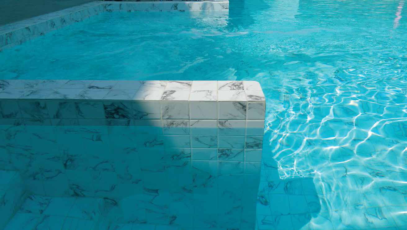 Cotto Calacatta Mosaics 9.7X9.7