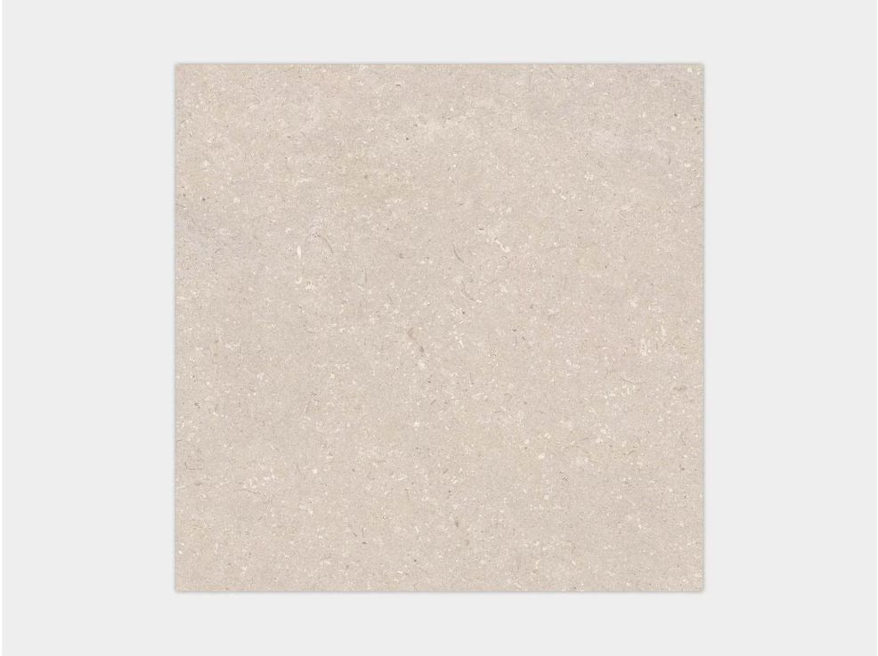 Coral Caliza P4 80x80