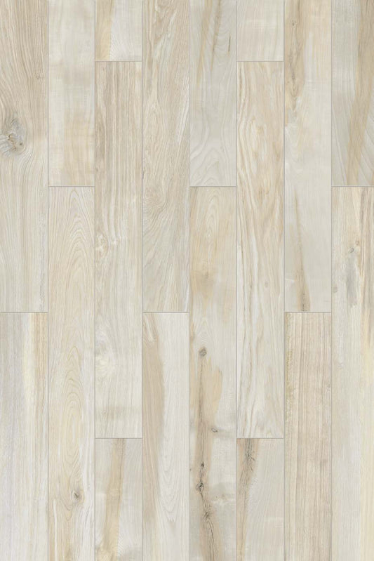 Cerim Hi-Wood Gp Polished 20X120