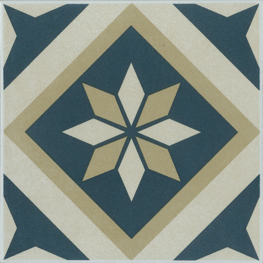 Cotto Oasis Floors 20X20