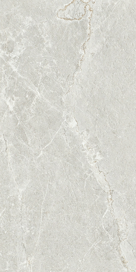 Ardesia Silver Honed 60X60