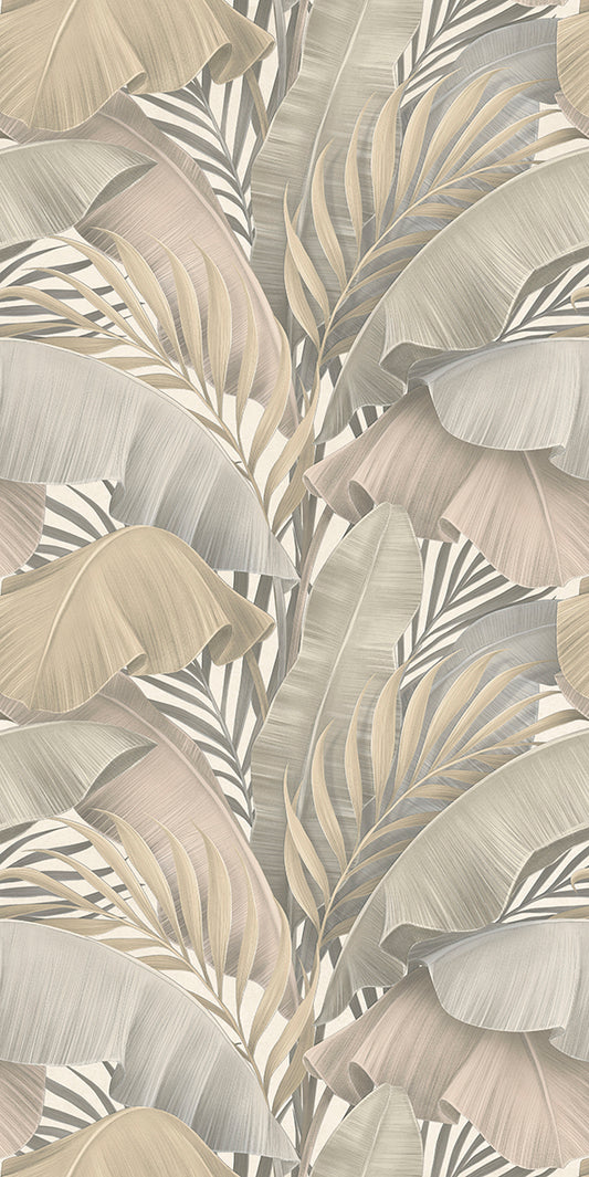 Ncia Palm Cove Decors 30X60