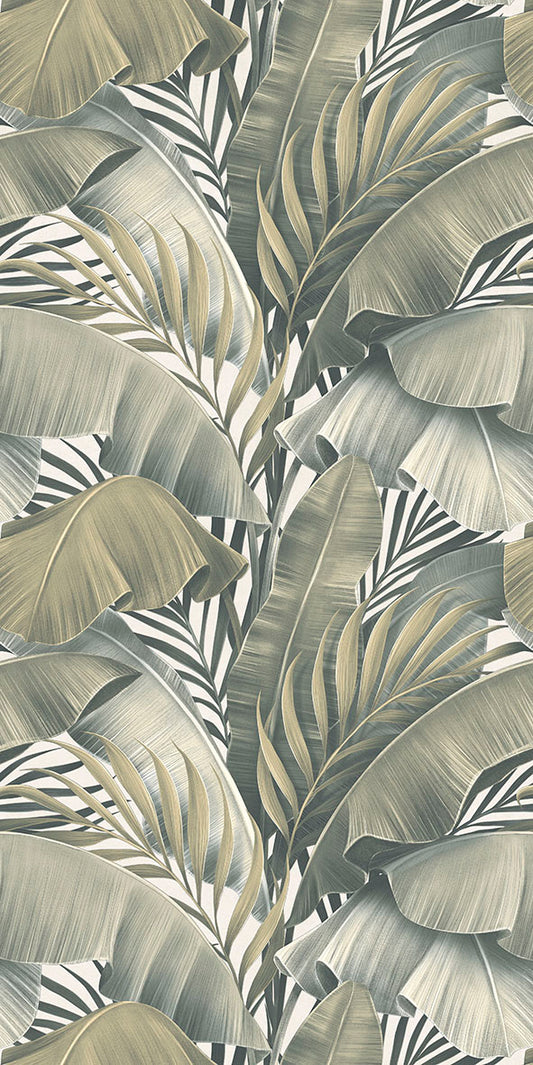 Ncia Palm Cove Decors 30X60