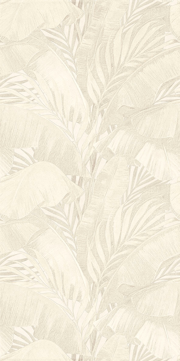 Ncia Palm Cove Decors 30X60