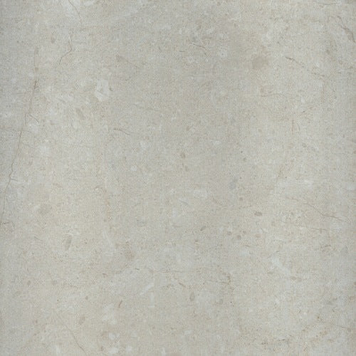 Whitehorse Dixson Gloss Ft 50X50