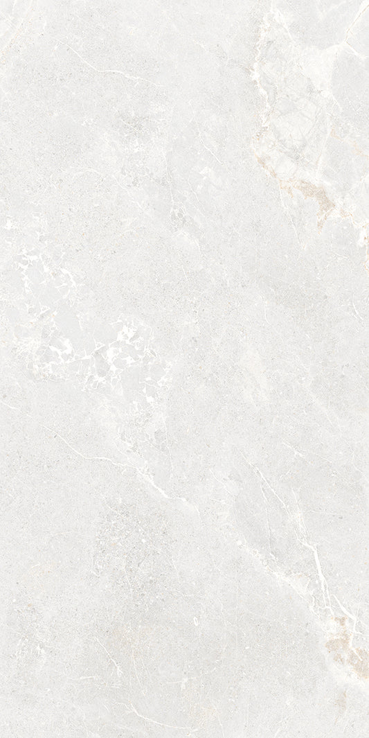 Tiaron Ardesia Silver Honed 60X120