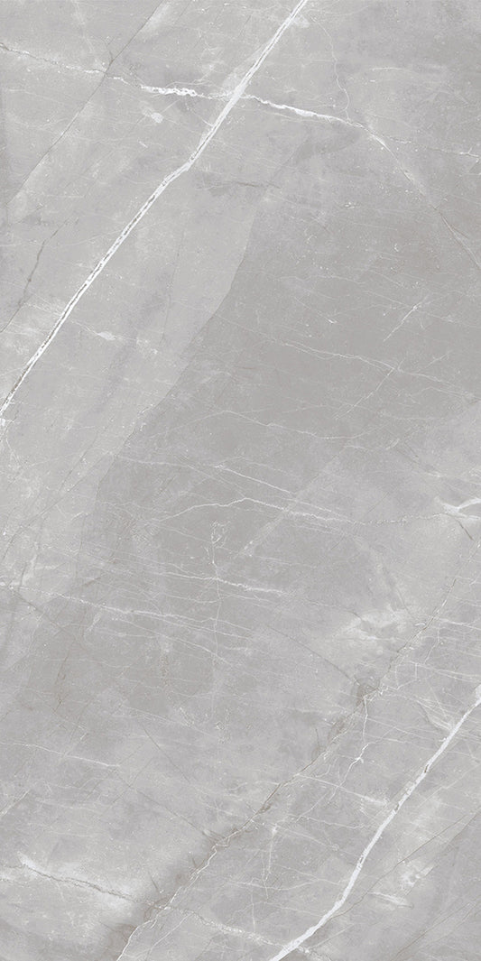 Armani Grey Polished 60X120