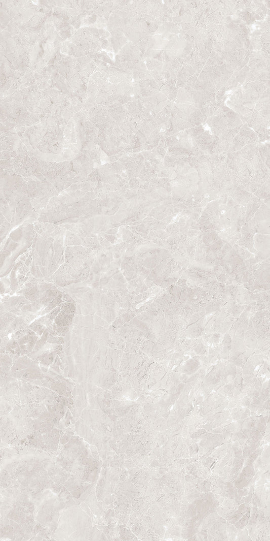 Armani Gris Polished 60X120