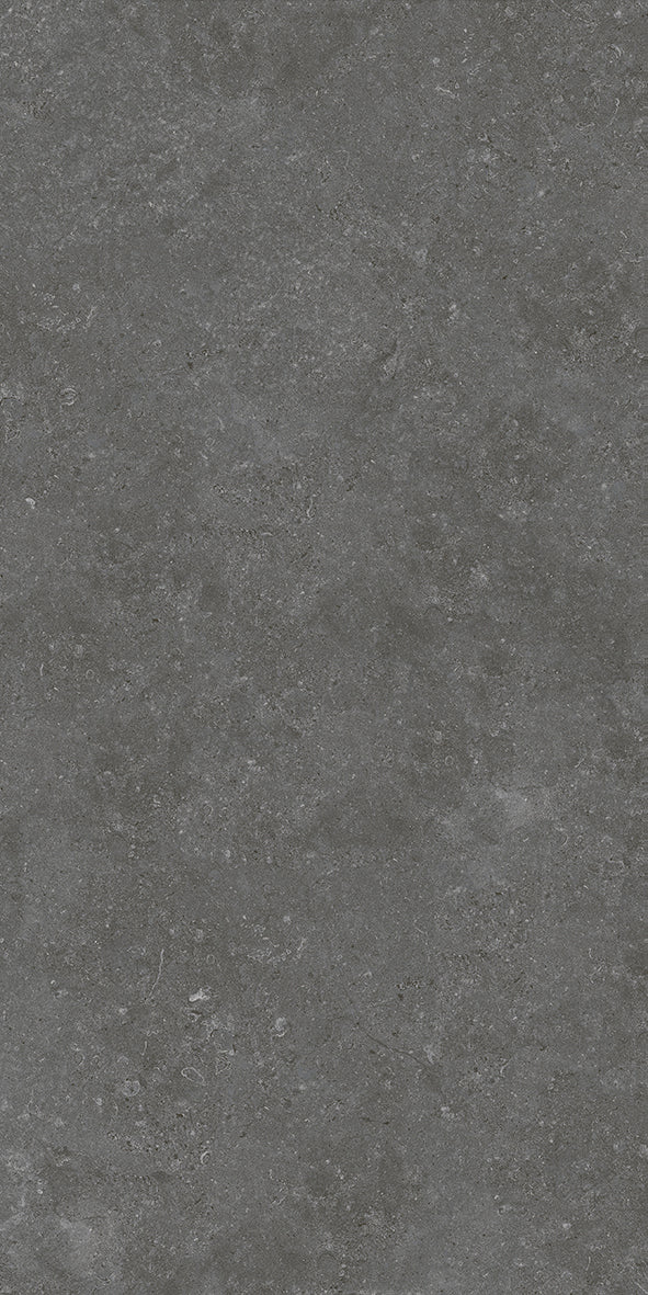 Ballina Charcoal Matt P3 60X120