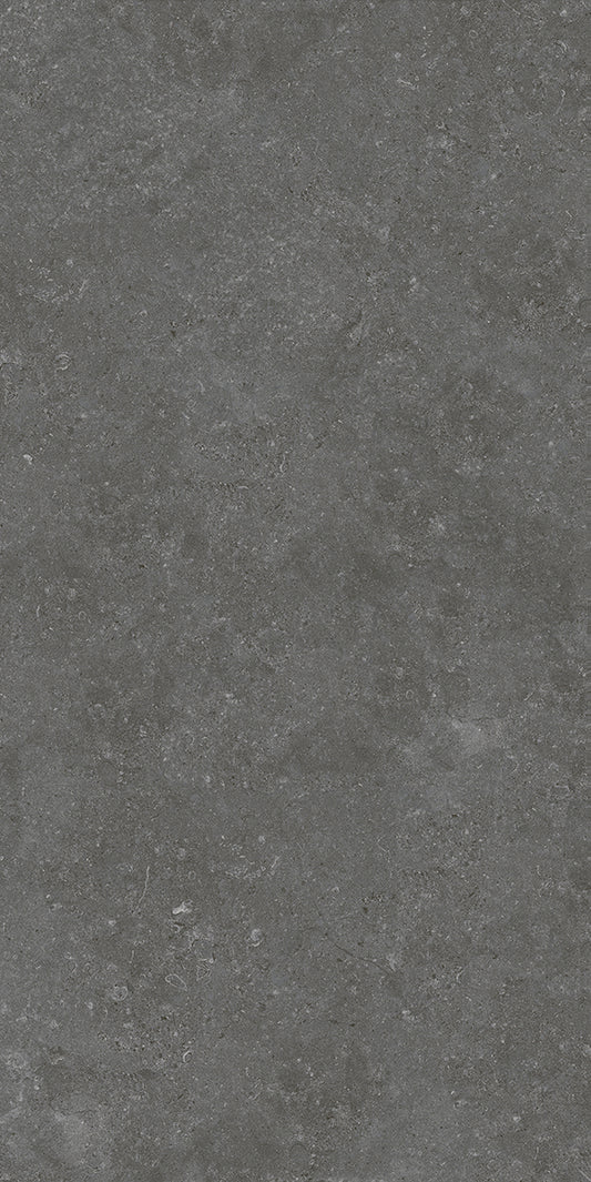 Ballina Charcoal Matt P3 60X120