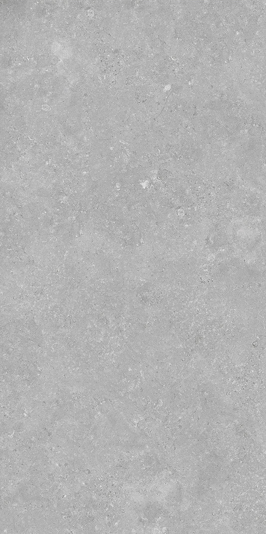 Ballina Grey Matt P3 60X120