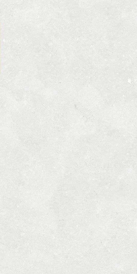 Ballina Silver Matt P3 60X120