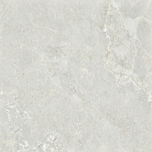 Ardesia Silver Honed 60X60
