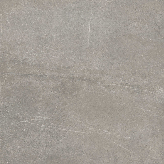 Astra Grey External P4 60X60