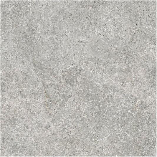 Arctic Tundra Grey External P5 60X60