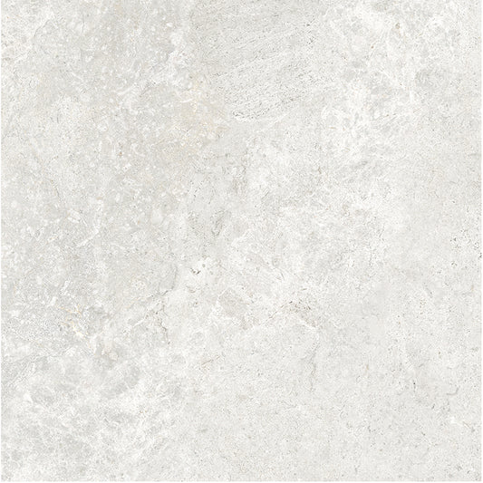 Arctic Tundra White External P5 60X60