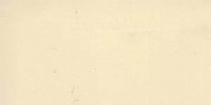 Bega Beige 10X20