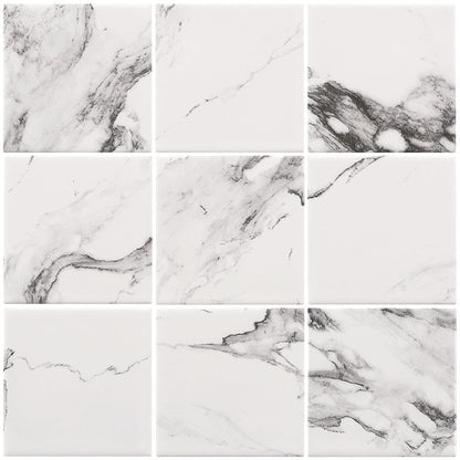 Cotto Calacatta Mosaics 9.7X9.7