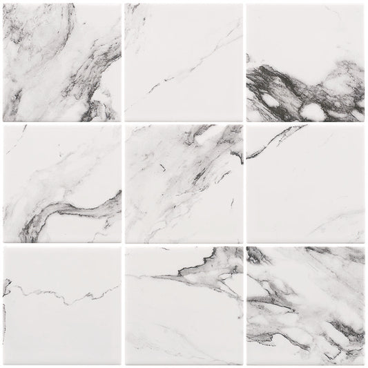 Cotto Calacatta Mosaics 9.7X9.7