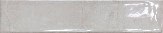 Clio Silver Closs 10.7X53