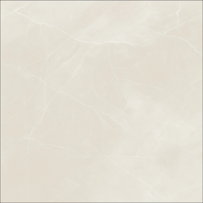Marquina Ivory Polished 60x60