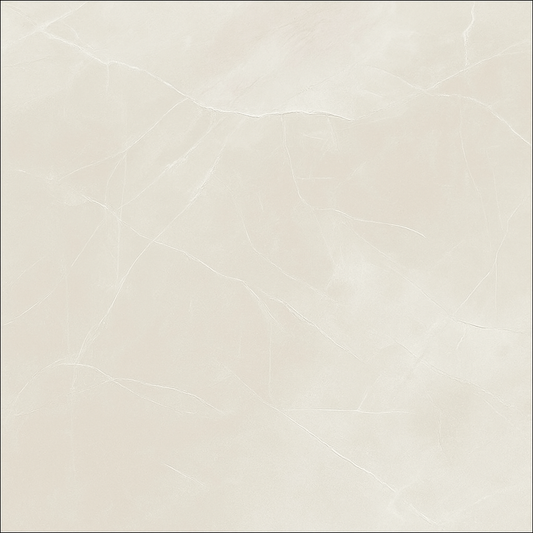 Marquina Ivory Polished 60x60